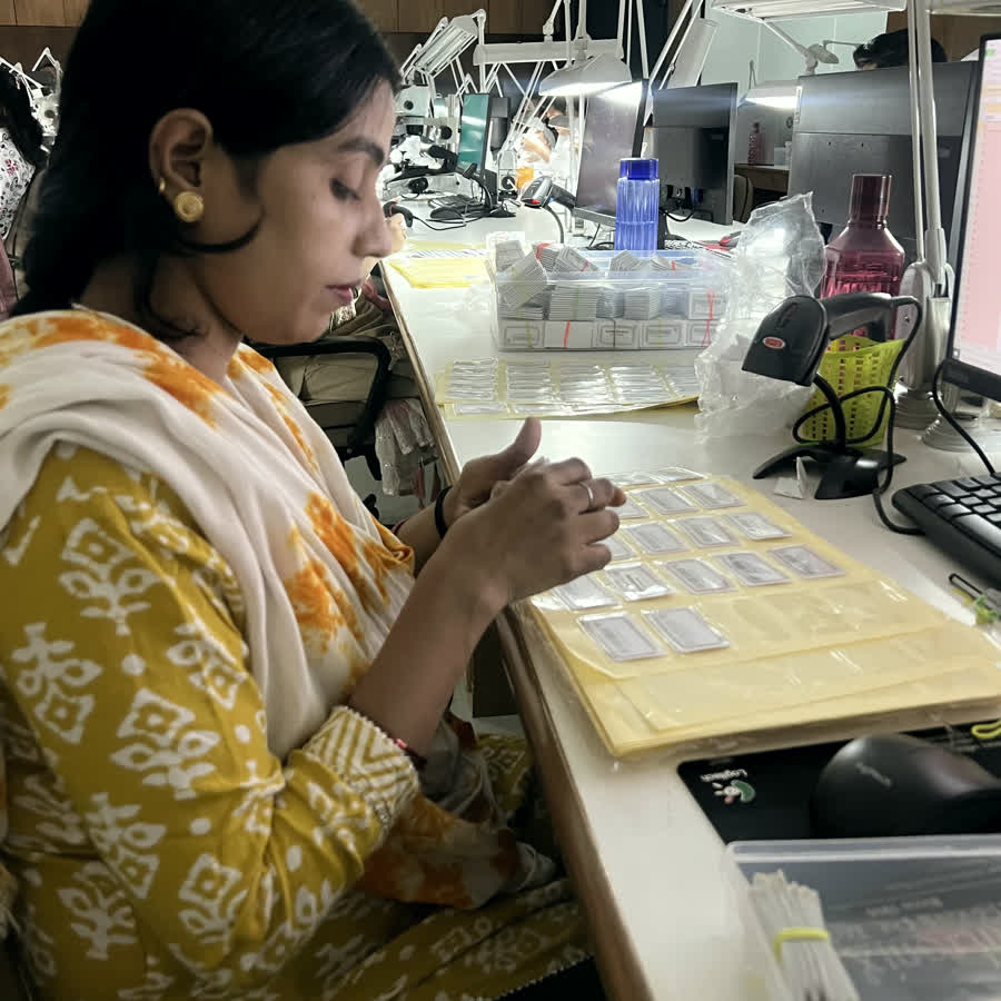 Sorting and checking parcels