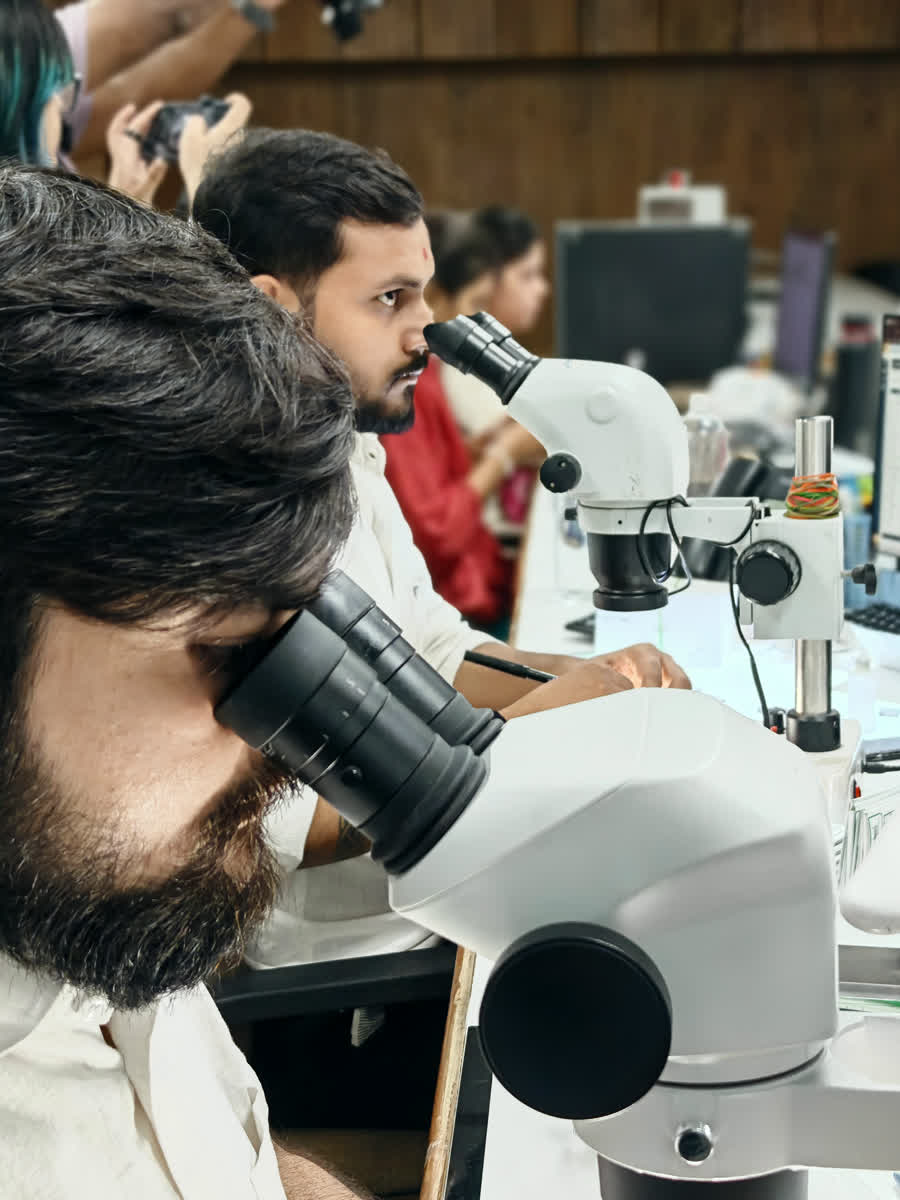Grader inspecting a lab grown diamond under a microscope